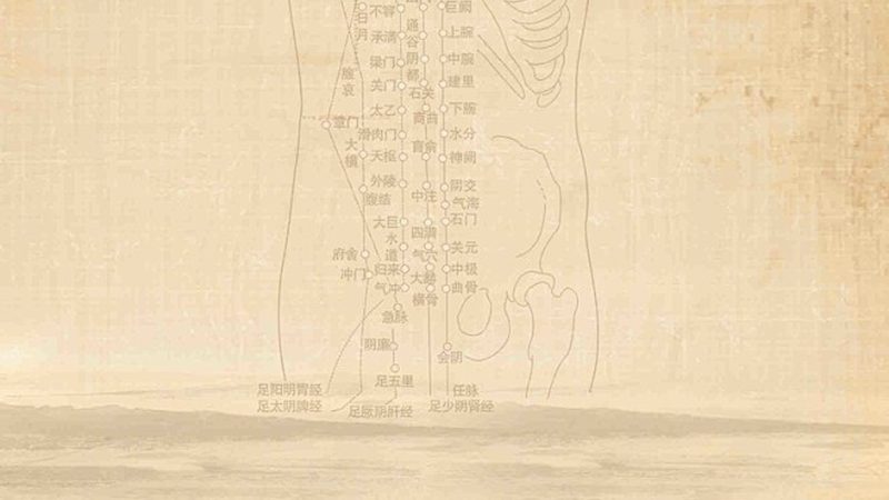 夏季养生茶饮配方怎么做：遵循古法，调和阴阳