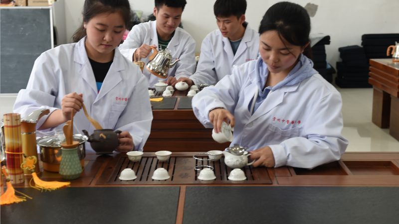 艾灸条背后的秘密：如何甄别优质直销产品
